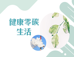 林園高中-健康零碳生活（114專班）